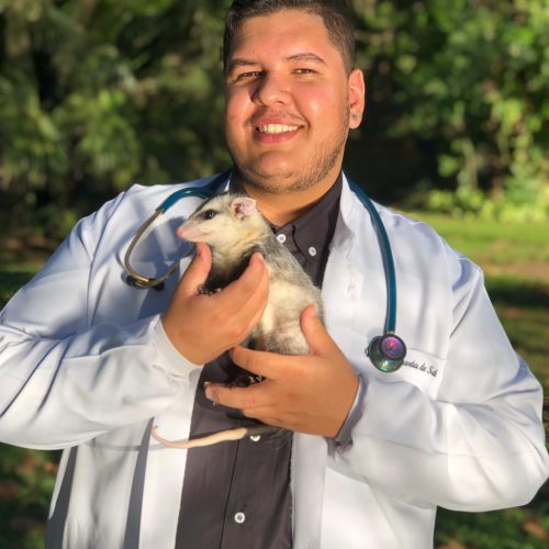 WhatsApp Image 2025-09-19 at 08.18.58