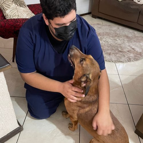 WhatsApp Image 2025-09-19 at 08.18.59 (2)