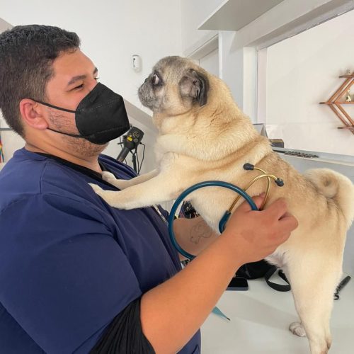 WhatsApp Image 2025-09-19 at 08.19.00 (2)