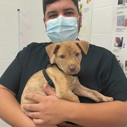 WhatsApp Image 2025-09-19 at 08.19.00 (3)