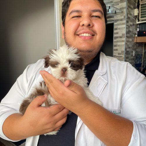 WhatsApp Image 2025-09-19 at 08.19.00